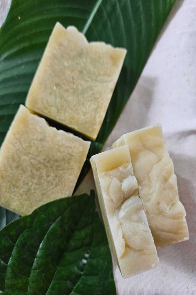 Aloe Bar
