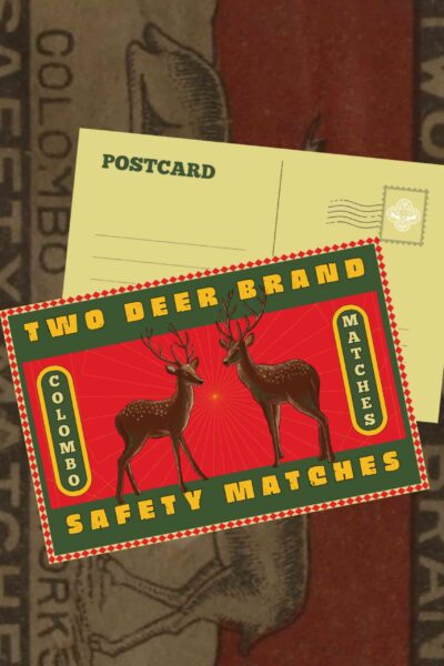 Two Deer Matches Print Post Card & Envelope