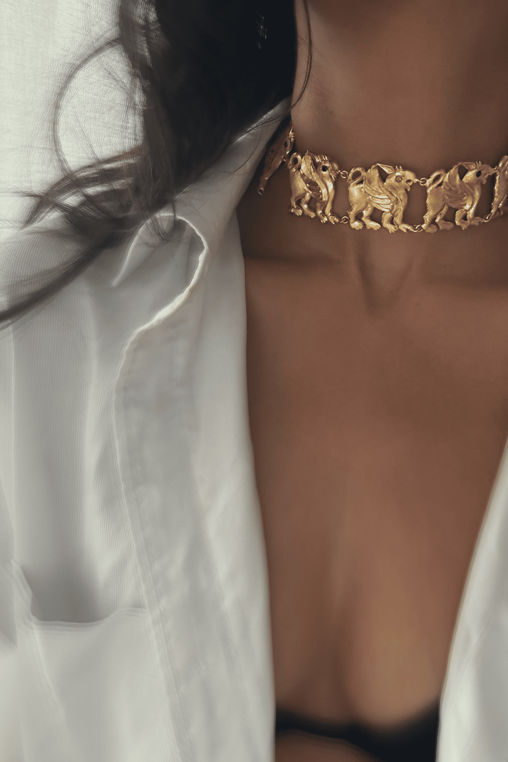 Garud Chocker Necklace